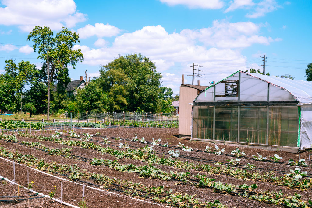 Urban farm in Detroit Michigan