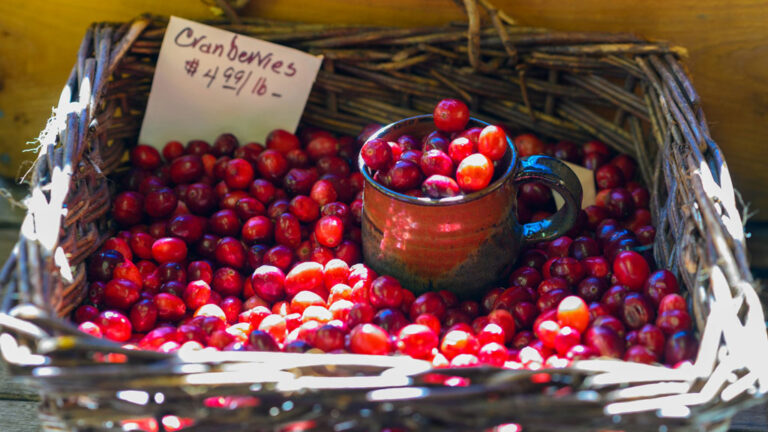 Cranberries for sale in a basket Credit: Philippe Murray Pietsch, Unsplash